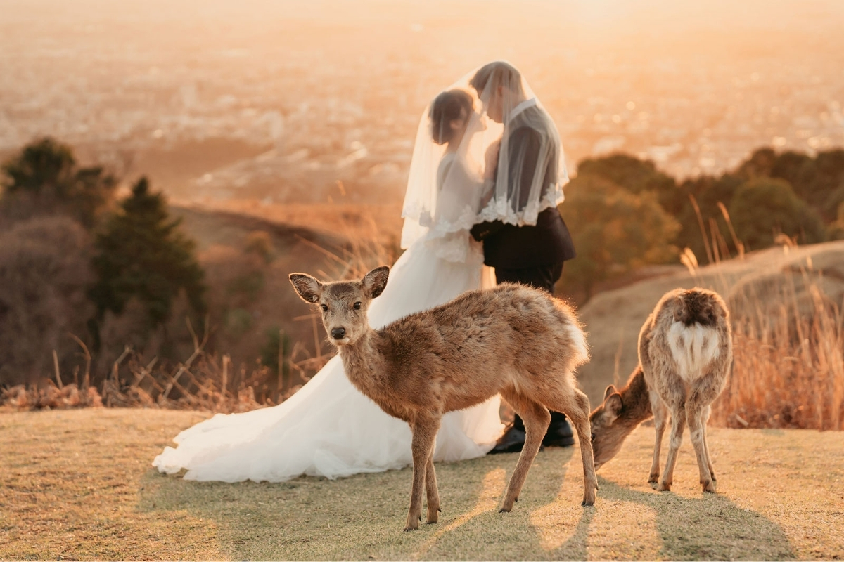 Kyoto Pre-Wedding Photoshoot with Eikando Temple, Kinosaki, Nara Deer Park & Mt. Wakakusa by Kinosaki on OneThreeOneFour 27