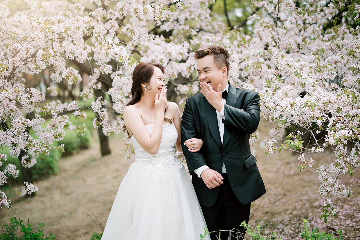 Cherry Kiss: Capturing Love Amidst Seoul's Cherry Blossoms by Jungyeol on OneThreeOneFour 8