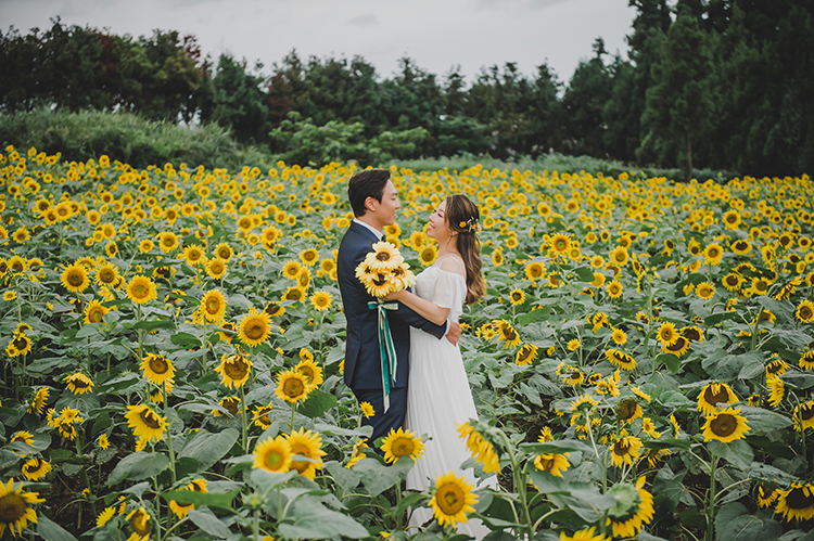 korea jeju island sunflower field wedding photoshoot