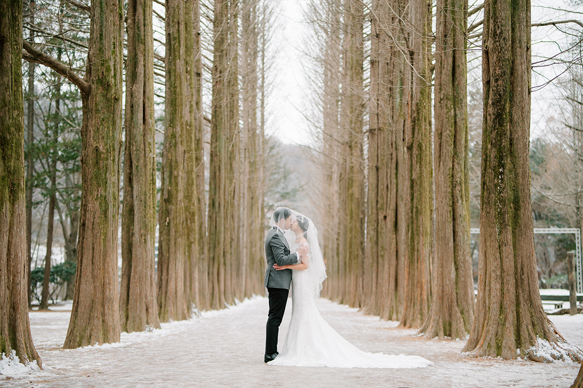 Enchanting Winter Pre-Wedding Shoot in the Serene Jeju Island by Jungyeol on OneThreeOneFour 14