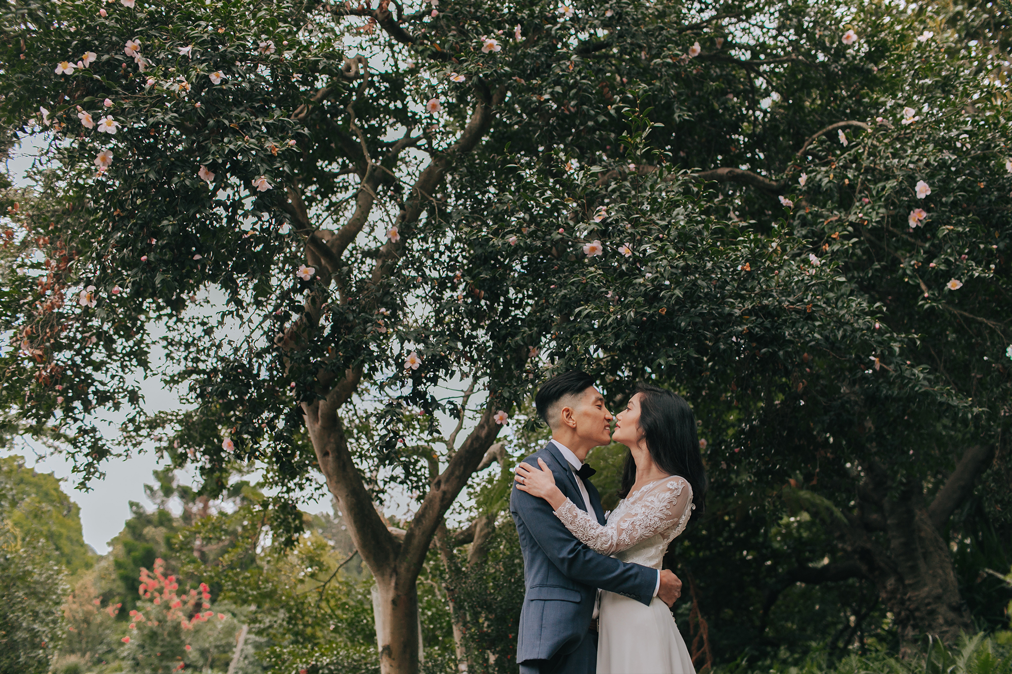 Melbourne Pre-Wedding Photoshoot in Royal Botanical Gardens & Redwood Forest by Freddie on OneThreeOneFour 6