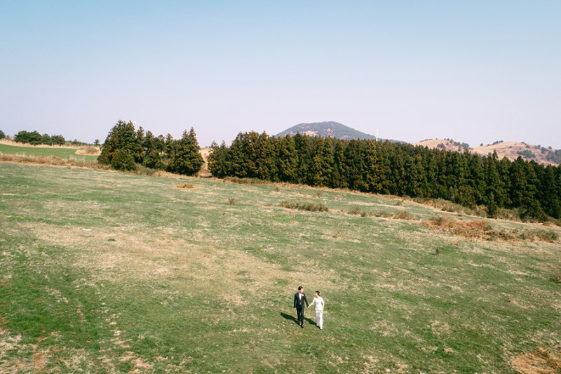 Korea Jeju Island Pre-Wedding Photoshoot During Spring by Gamsung on OneThreeOneFour 1