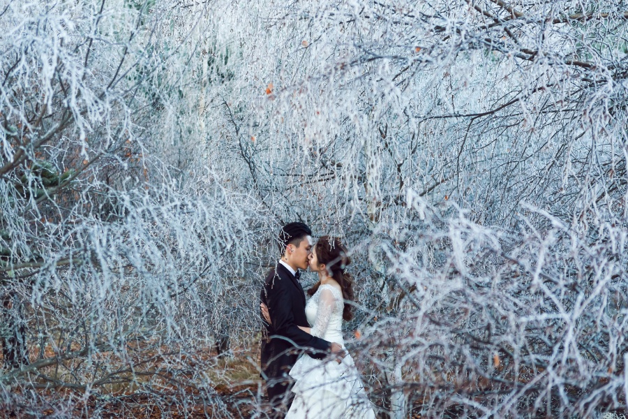紐西蘭婚紗拍攝 - 海與銀河 by Xing on OneThreeOneFour 13