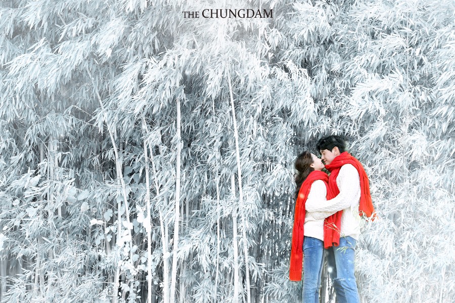 2018 Seasonal Album by Chungdam Studio on OneThreeOneFour 37