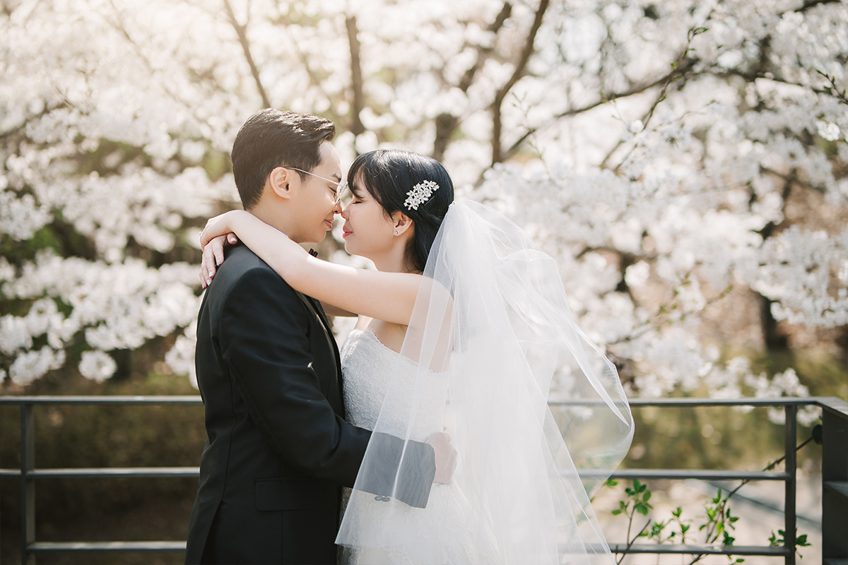 Celebrate Love in Full Bloom: Seoul Spring Pre-Wedding Photoshoot Experience by Jungyeol on OneThreeOneFour 5