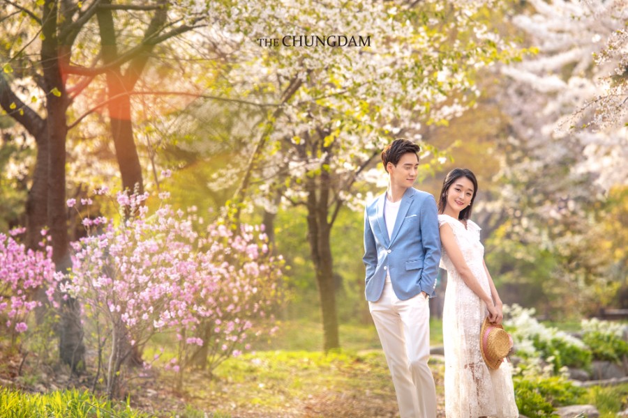 Chungdam Studio Cherry Blossoms Sample - Korean Pre-Wedding Studio by Chungdam Studio on OneThreeOneFour 1