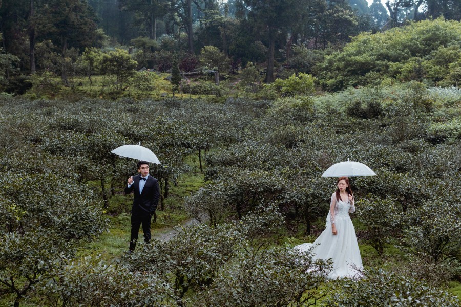 Taiwan Studio and Yang Ming Shan Prewedding Photoshoot by Andy on OneThreeOneFour 23