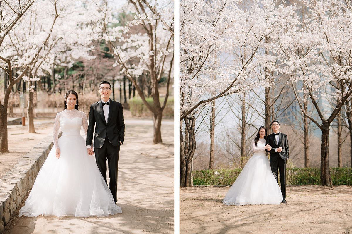 City in Bloom: Romantic Pre-Wedding Photoshoot Amidst Seoul's Blossoming Beauty by Jungyeol on OneThreeOneFour 1