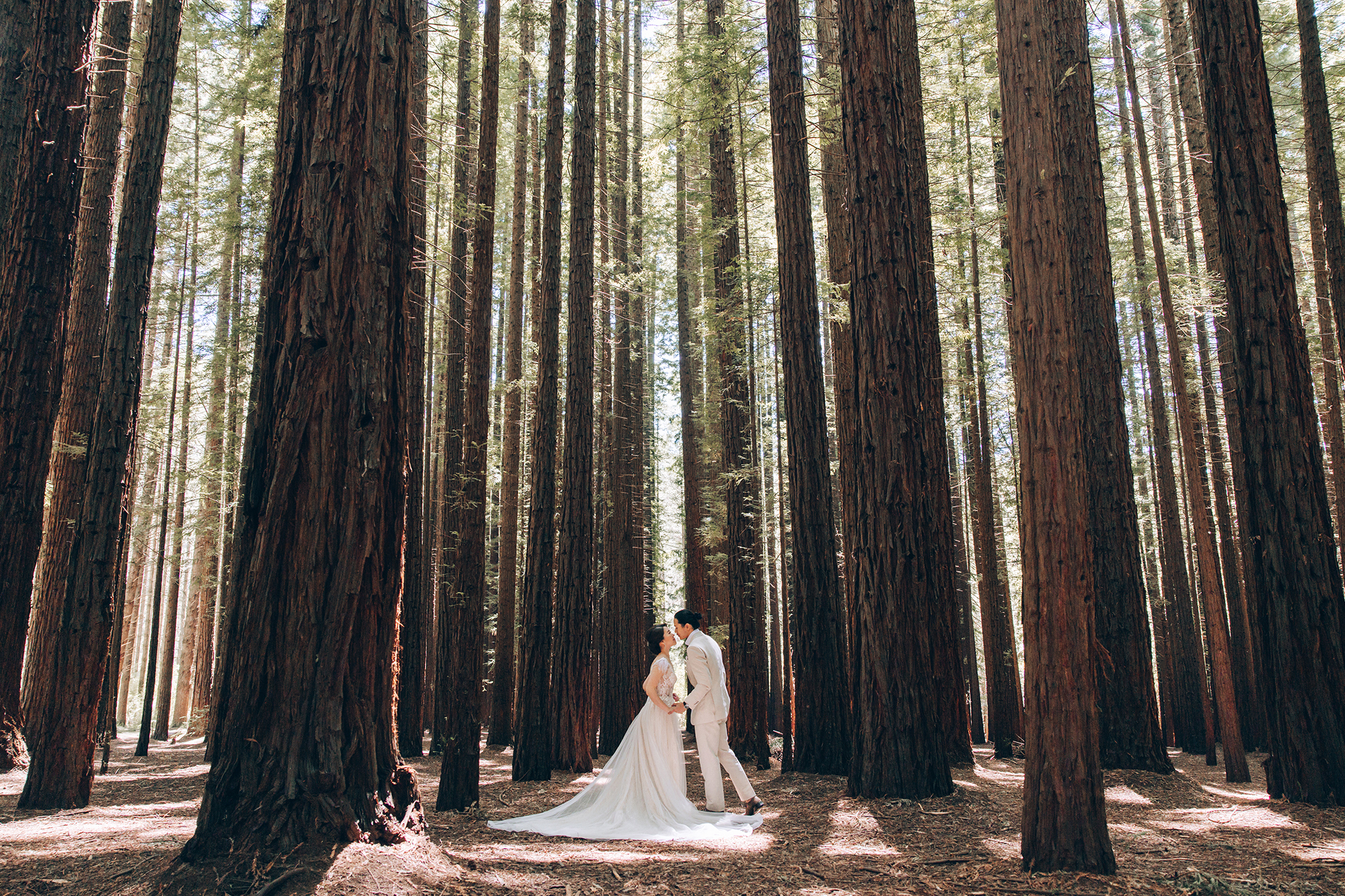 Melbourne Pre-Wedding Photoshoot in Redwood Forest by Freddy on OneThreeOneFour 0