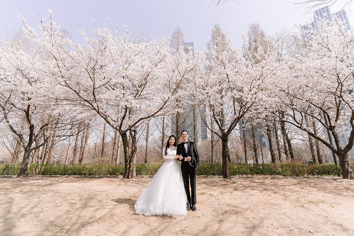 City in Bloom: Romantic Pre-Wedding Photoshoot Amidst Seoul's Blossoming Beauty by Jungyeol on OneThreeOneFour 0