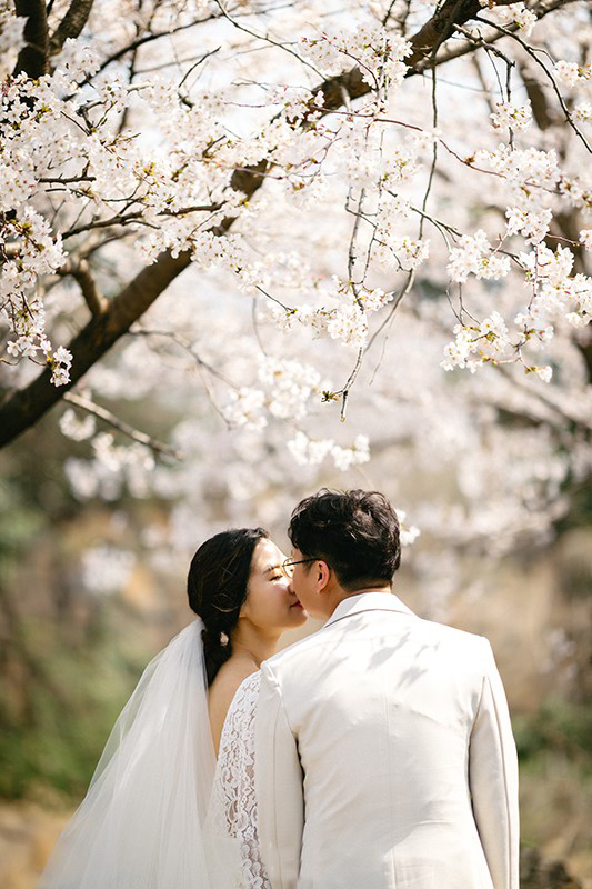 Korea Jeju Island Pre-Wedding Photoshoot During Spring by Gamsung on OneThreeOneFour 13
