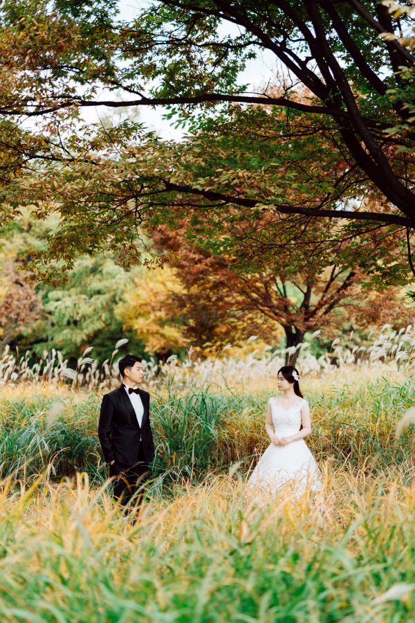 V&E Korea Autumn Pre-Wedding at Seoul Forest Park, Kyung Hee University and Namsangol Hanok Village by Jungyeol on OneThreeOneFour 7