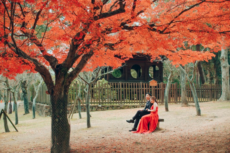 V&H: Kyoto Autumn Pre-wedding Photoshoot at Nara Park and Railway Tracks by Kinosaki on OneThreeOneFour 1
