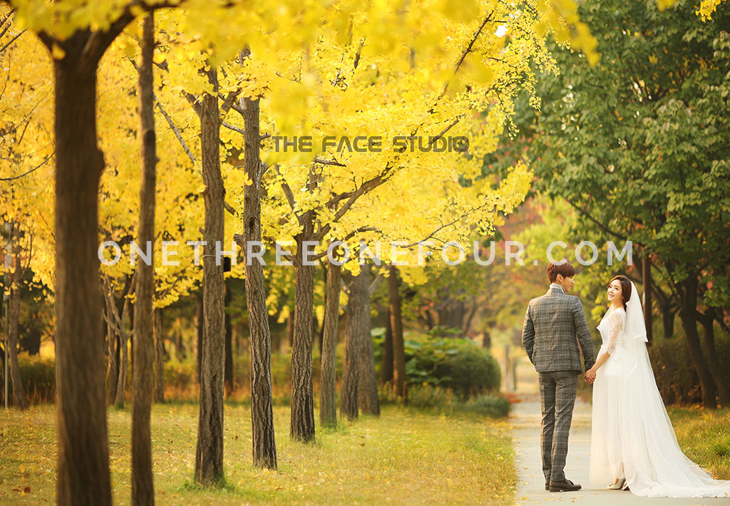 [AUTUMN] Korean Studio Pre-Wedding Photography: Seonyudo Park (선유도 공원)  (Outdoor) by The Face Studio on OneThreeOneFour 2