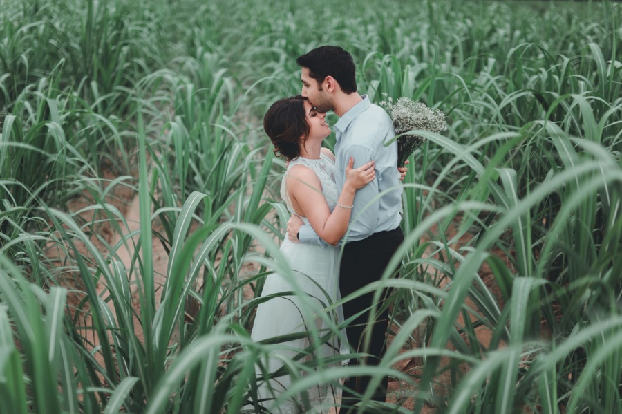 Thailand Bangkok Pre-Wedding Photoshoot At Cornfield And Swamp  by Por  on OneThreeOneFour 7