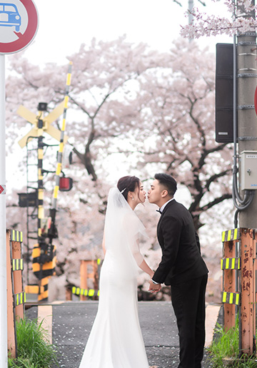 Kyoto and Nara Sakura Pre-wedding and Kimono Photoshoot 