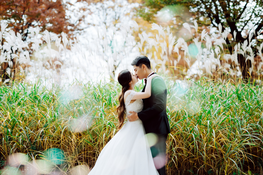 V&E Korea Autumn Pre-Wedding at Seoul Forest Park, Kyung Hee University and Namsangol Hanok Village by Jungyeol on OneThreeOneFour 6