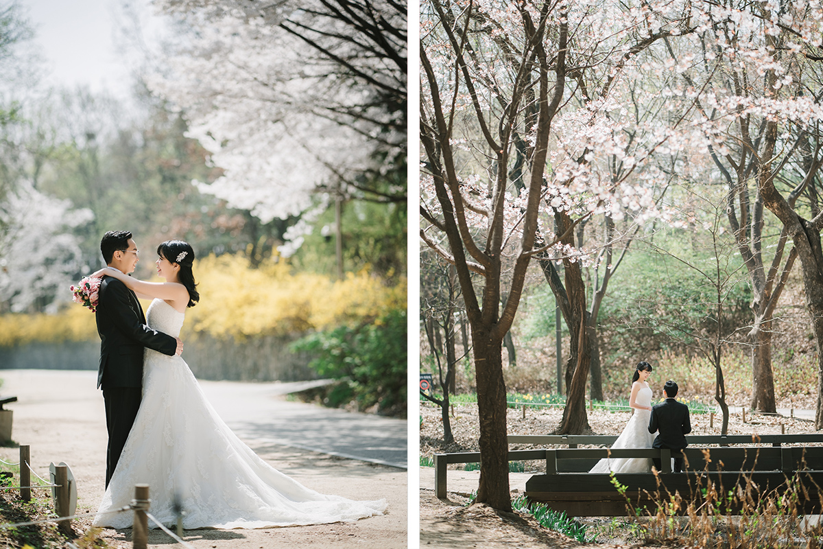 Celebrate Love in Full Bloom: Seoul Spring Pre-Wedding Photoshoot Experience by Jungyeol on OneThreeOneFour 3