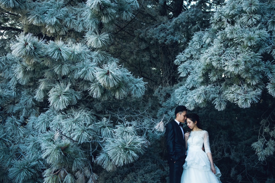 J&R: New Zealand Winter Pre-wedding Photoshoot Under the Stars by Xing on OneThreeOneFour 15