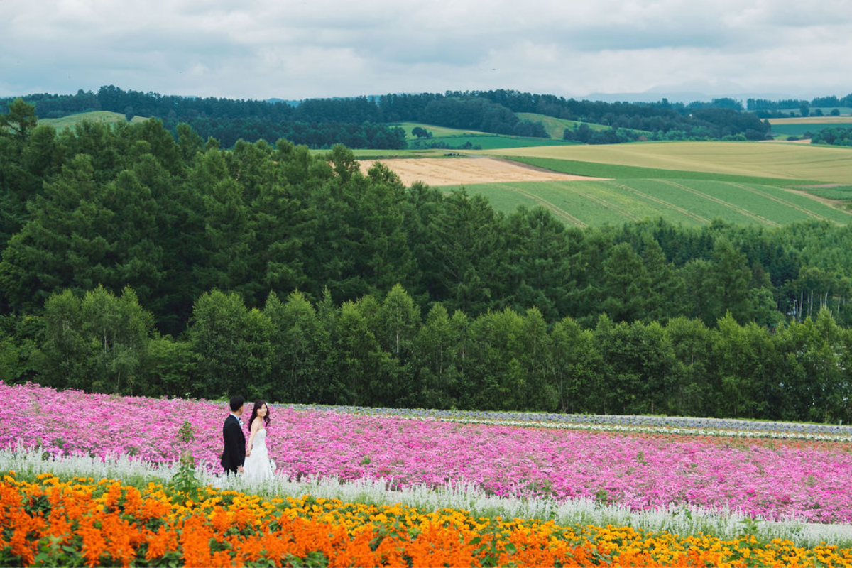 北海道夏季婚紗攝影，包括青池、日之出公園薰衣草和四季彩之丘花海 by Kuma on OneThreeOneFour 2