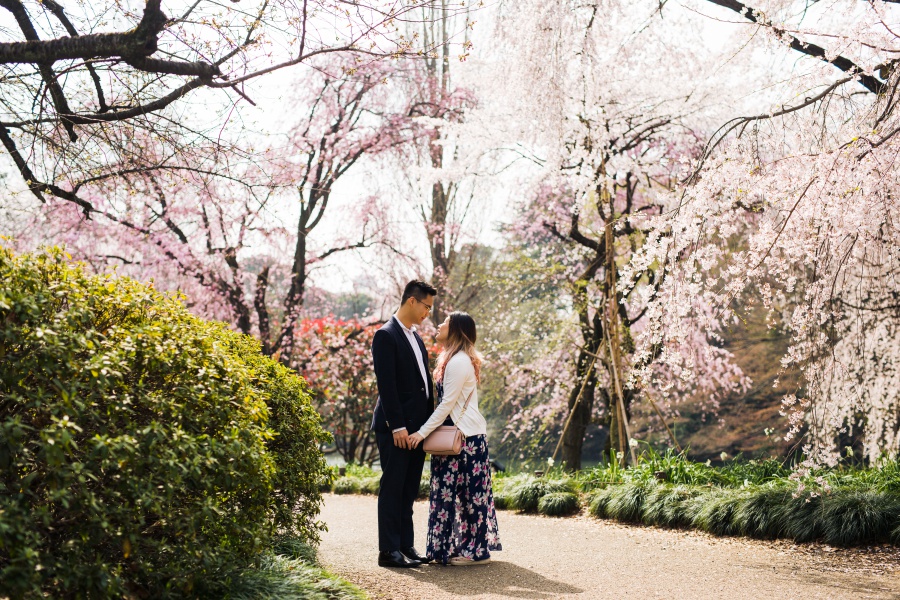 Japan Tokyo Surprise Proposal Photoshoot At Shinjuku Gyoen During Cherry Blossom Season by Koki on OneThreeOneFour 9