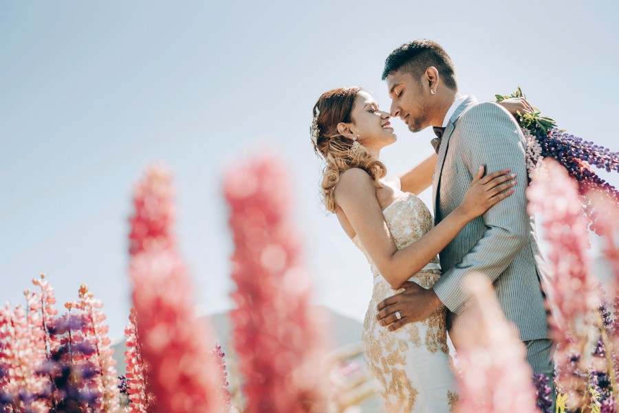 New Zealand Spring Arrowtown Lupins Prewedding Photoshoot  by Mike on OneThreeOneFour 4