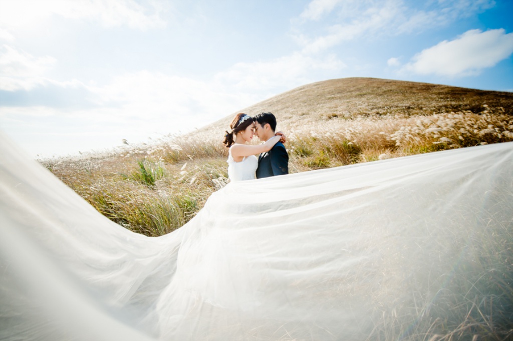 Korea Jeju Island Pre-Wedding Photoshoot With Silver Grass During Autumn  by Ray on OneThreeOneFour 8