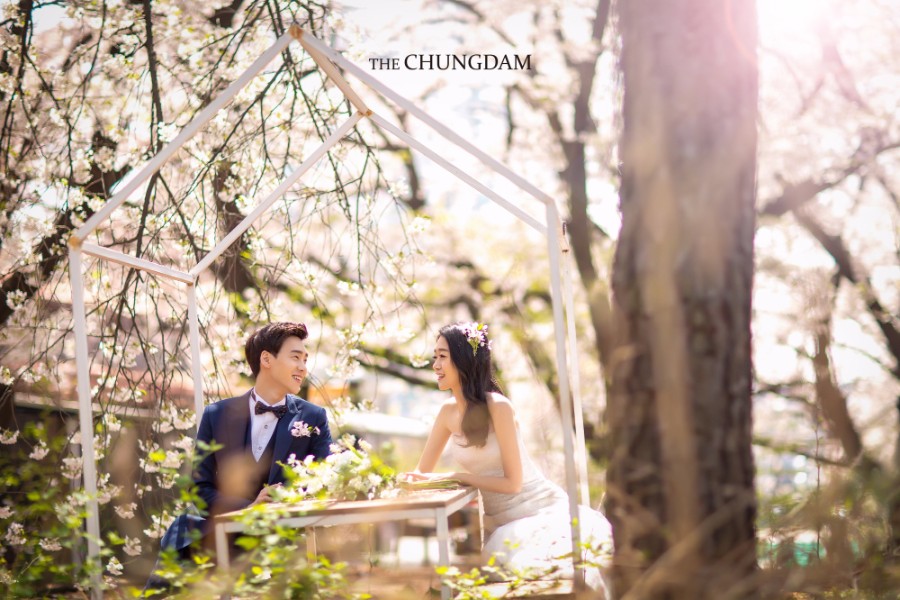 Chungdam Studio Cherry Blossoms Sample - Korean Pre-Wedding Studio by Chungdam Studio on OneThreeOneFour 11