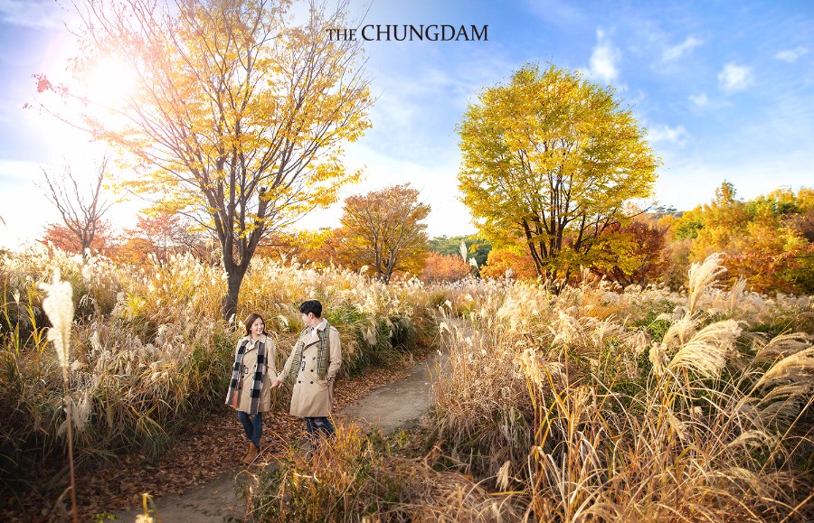 2018 Seasonal Album by Chungdam Studio on OneThreeOneFour 28