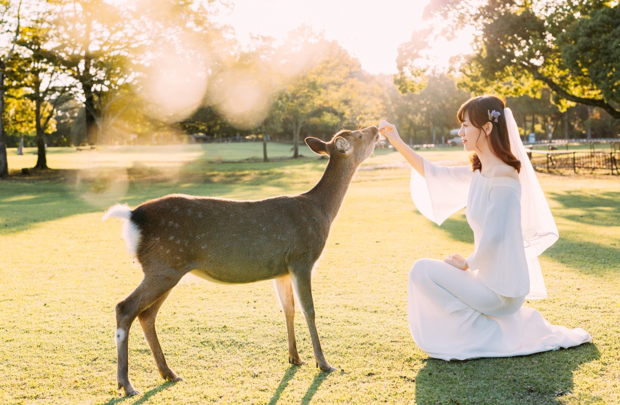 Japan Pre-Wedding Photoshoot At Nara Deer Park  by Jia Xin on OneThreeOneFour 14