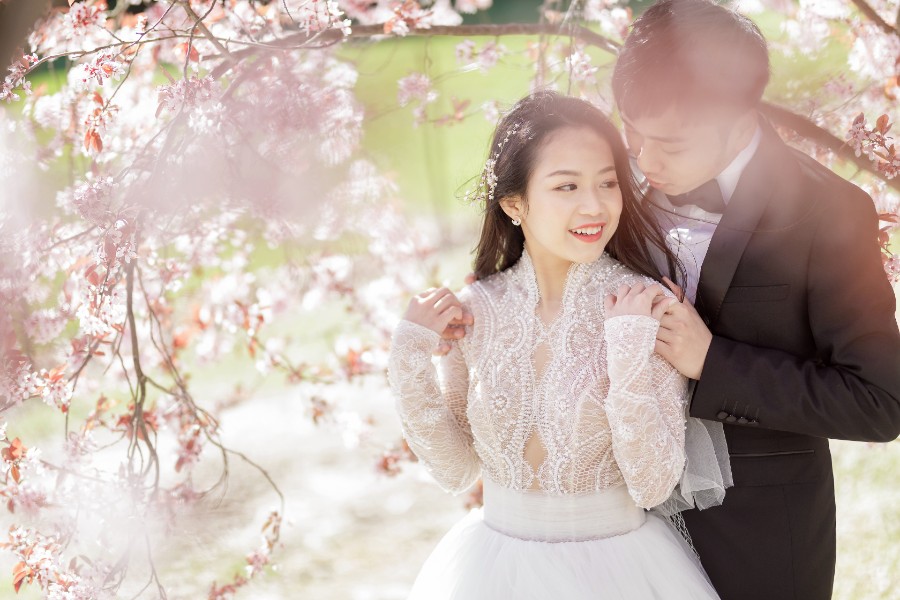 New Zealand Pre-Wedding Photoshoot of P&J: Cherry blossoms, Alpaca farm, Snowy mountain by Fei on OneThreeOneFour 3