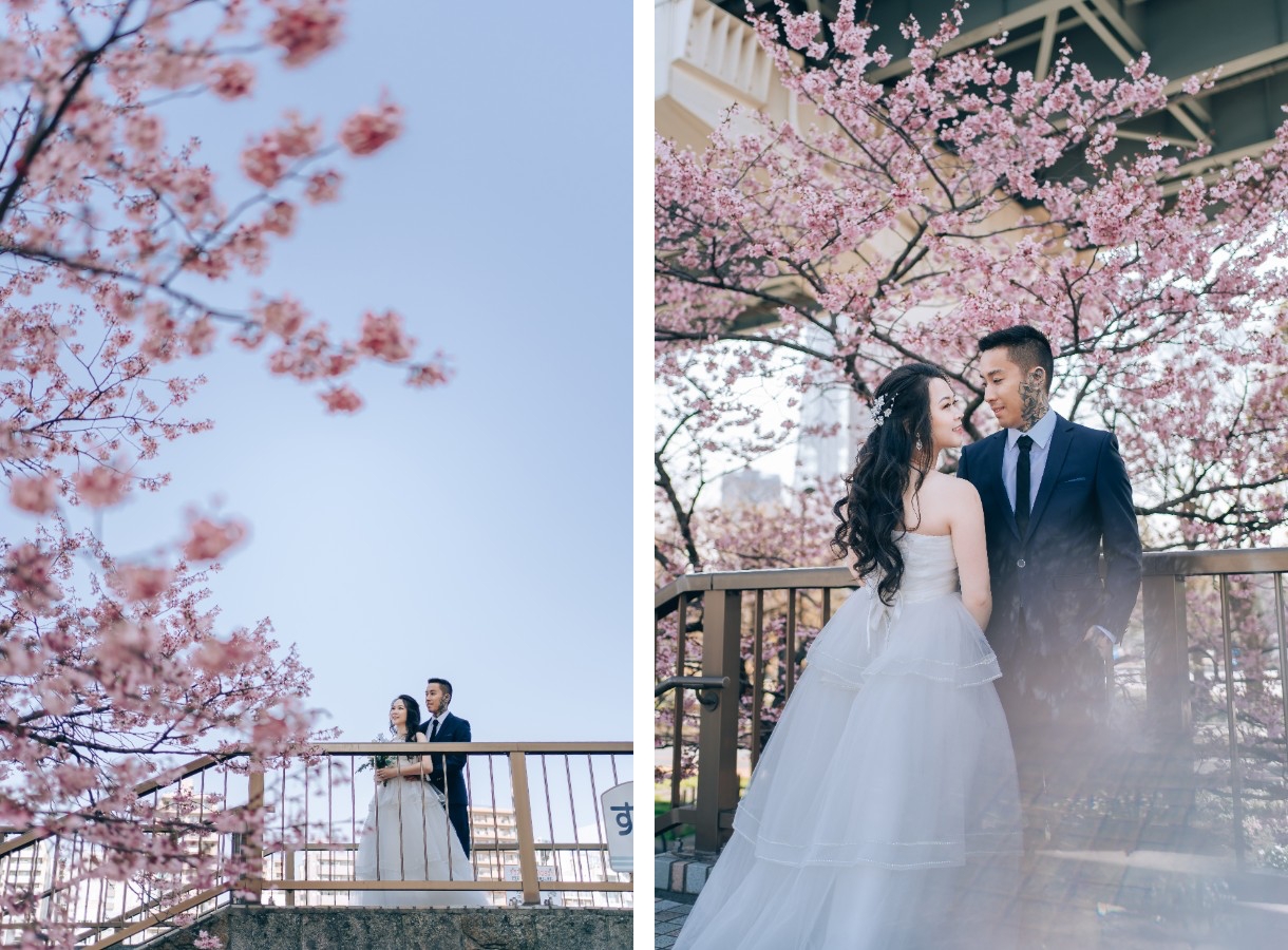 J&A: Pre-wedding in Tokyo with early blooming sakura and Mt Fuji by Dahe on OneThreeOneFour 2
