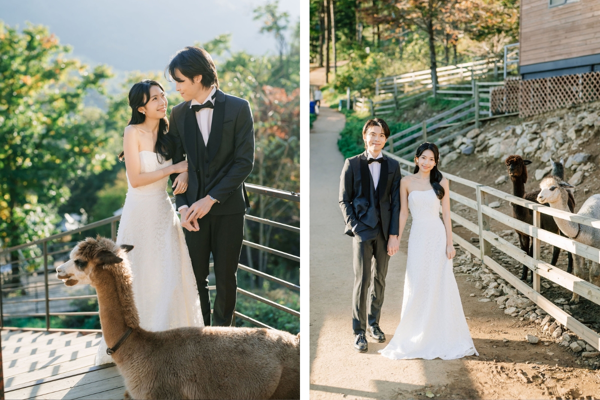 Seoul Autumn Pre-Wedding Photoshoot with Lotte World, Alpaca World, and Hongdae Streets by Jungyeol on OneThreeOneFour 17