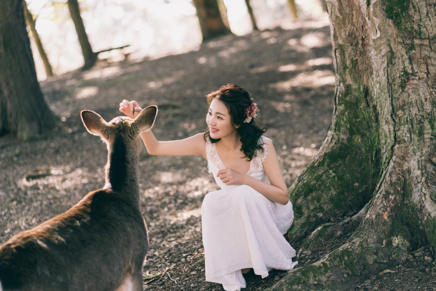 Japan Pre-Wedding Photoshoot At Nara Deer Park  by Jia Xin  on OneThreeOneFour 3