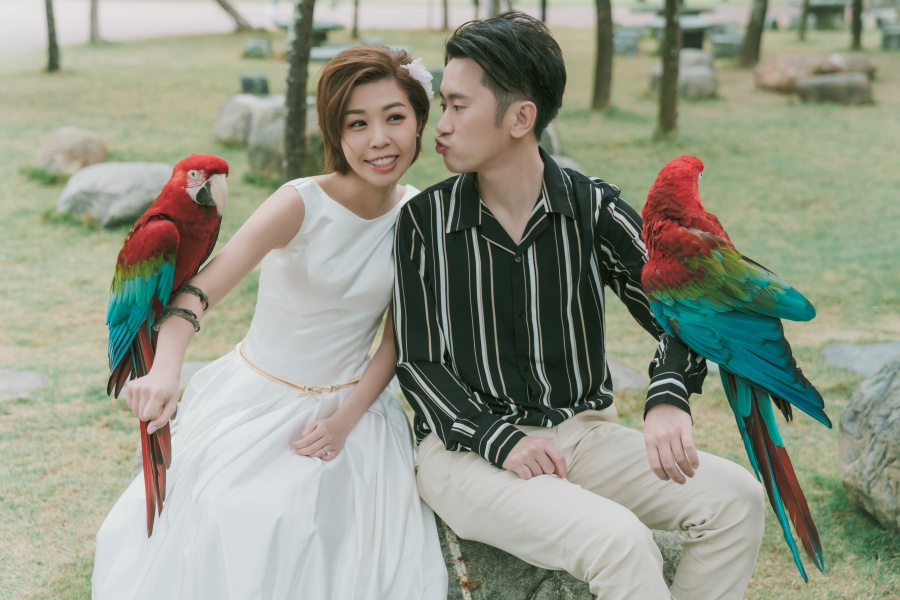 Taiwan Outdoor Pre-Wedding Photoshoot At Tainan Zoo  by Star  on OneThreeOneFour 3