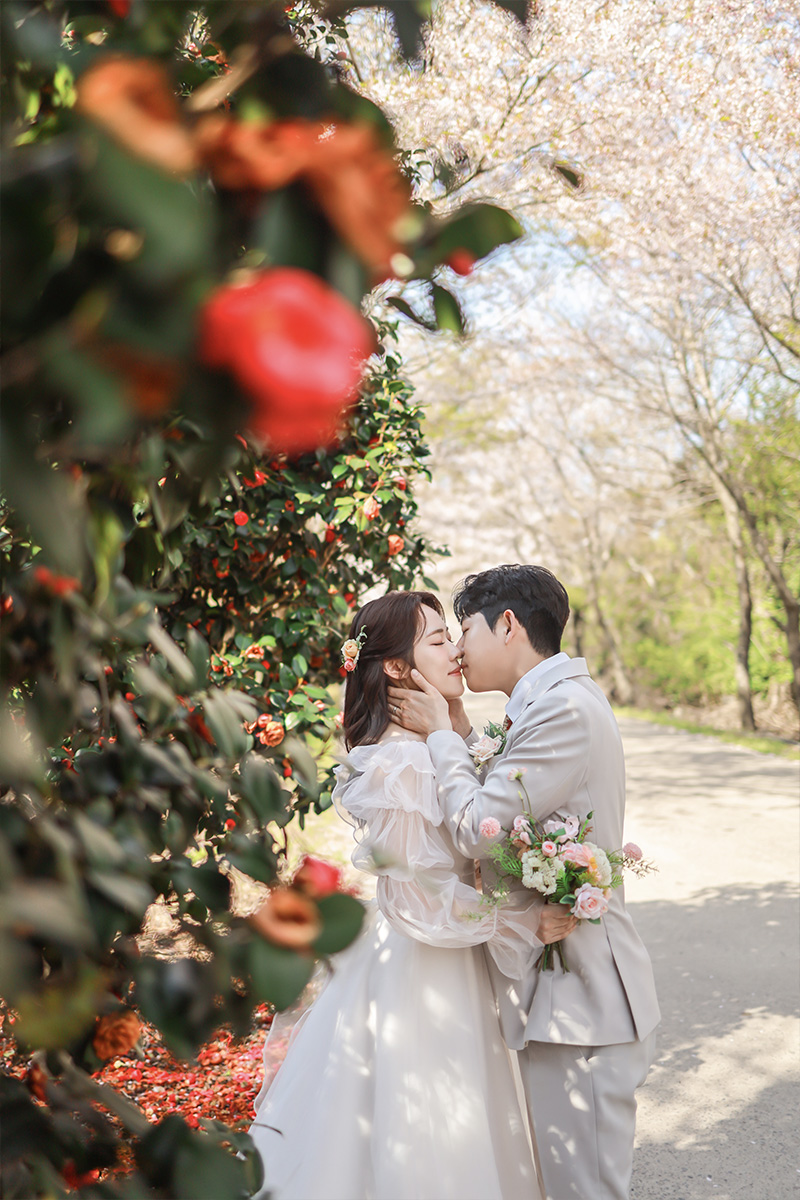 Pre-Wedding Photoshoot in Jeju Island amidst Cherry Blossoms, Canola Flowers, and Beach in Spring by Byunghyun on OneThreeOneFour 1