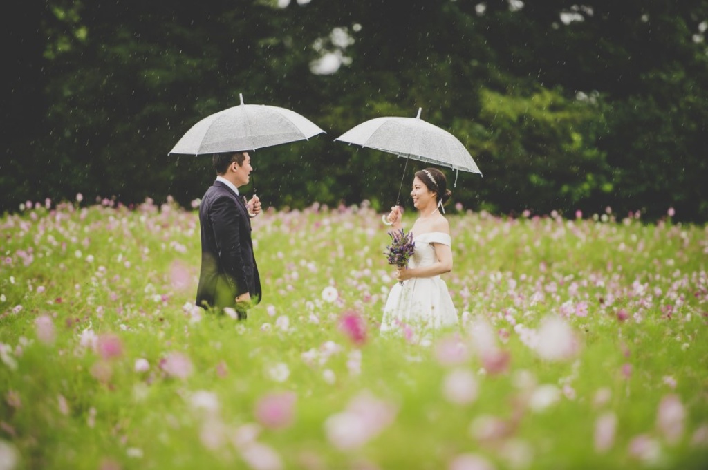 Korea Outdoor Pre-Wedding Photoshoot At Sunflower Field During Summer  by Ray  on OneThreeOneFour 6