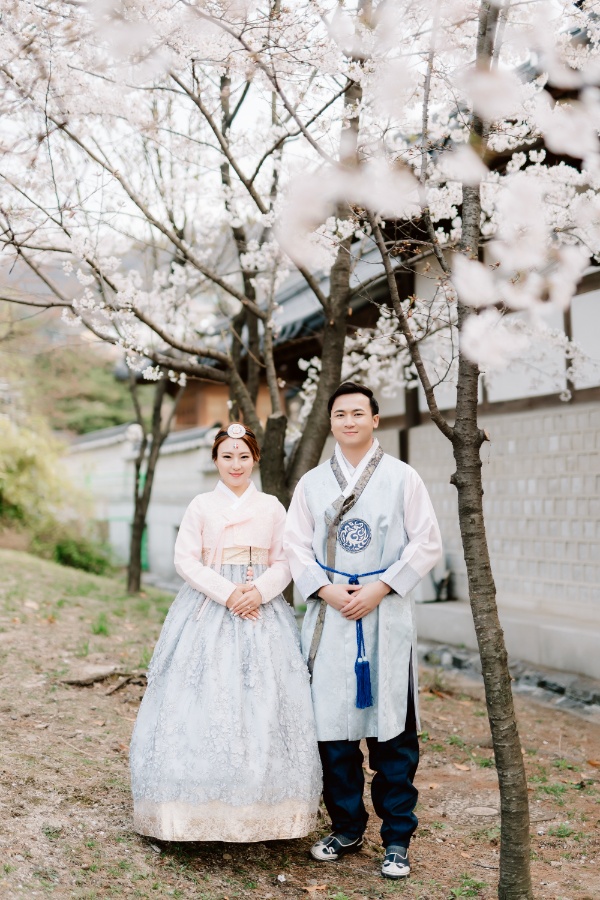 C&J: Korea Spring Pre-wedding Photoshoot with Hanbok at Namsangol Hanok Village and Nami Island by Jungyeol on OneThreeOneFour 2