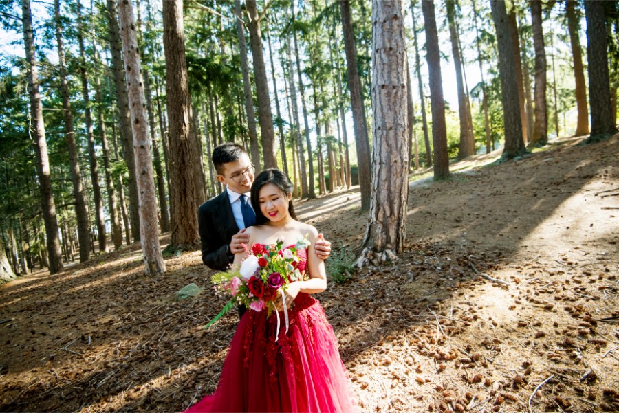 New Zealand Starry Night Prewedding Photoshoot with Alpaca Farm  by Mike on OneThreeOneFour 43