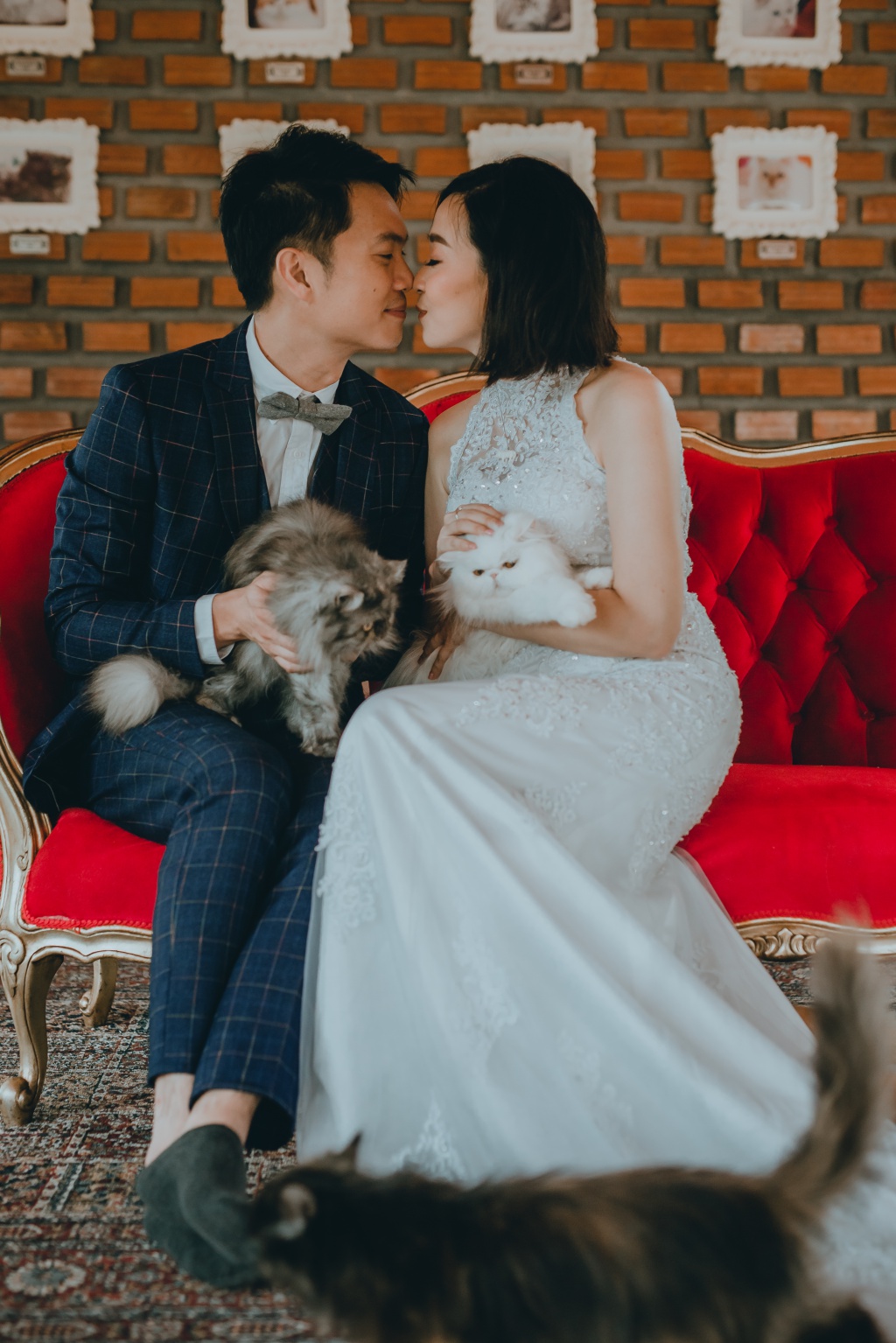 Pre-Wedding Photoshoot In Bangkok At Chinatown And Alpaca Hill Farm  by Por  on OneThreeOneFour 11