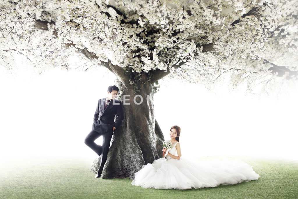 M Company - Korean Studio Pre-Wedding Photography: Cherry Blossom by M Company on OneThreeOneFour 5